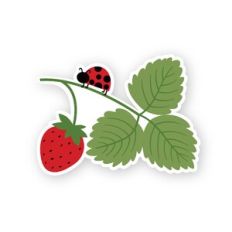 Ladybug With Strawberry