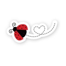 Ladybug with Heart Trail