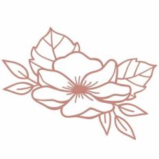 magnolia bloom