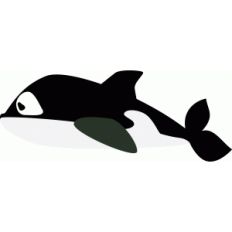 killer whale