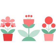 valentine flowers