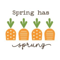 Carrots - Spring has Sprung