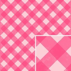 Pink Gingham Plaid