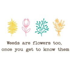 Botanicals - Weeds are people too