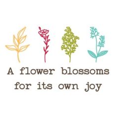 Botanicals - A flower Blooms for its own Joy
