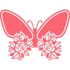 butterfly flowers