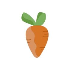 Carrot