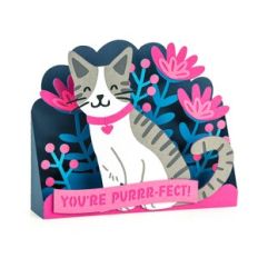 You’re Purrr-fect 3D Kitty Box Card