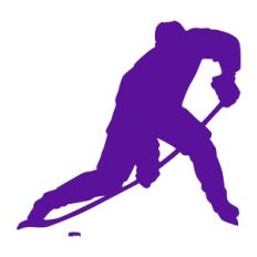Hockey Player