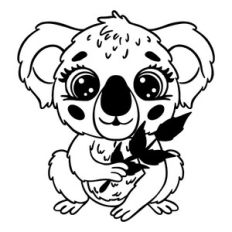 Small koala