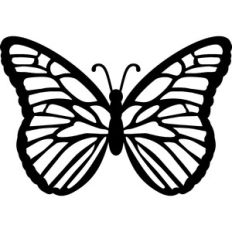 butterfly silhouette