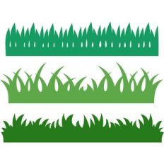 grass borders