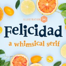 ZP Felicidad