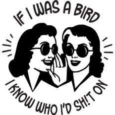 If I was a bird