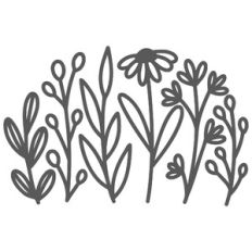 Wildflowers