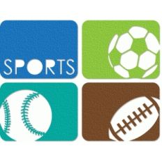 sports journaling cards