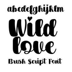 Wild Love Bold Font