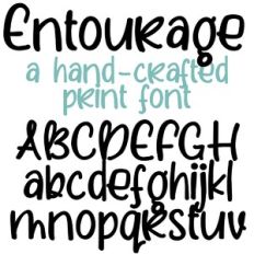 ZP Entourage Bold