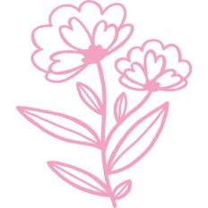 Spring Flowers