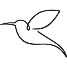 Hummingbird Tattoo Line drawing