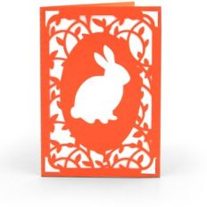 5X7 Insert Card Bunny