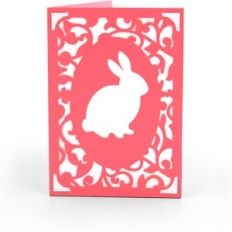 5X7 Insert Card Bunny