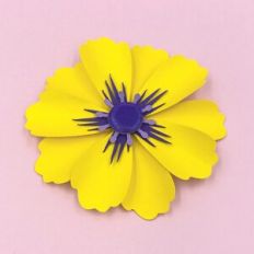 FLOWER 209