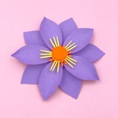 FLOWER 206