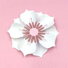 FLOWER 205