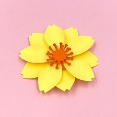 FLOWER 204