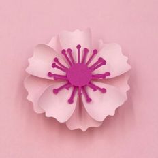 FLOWER 202