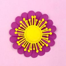 FLOWER 200