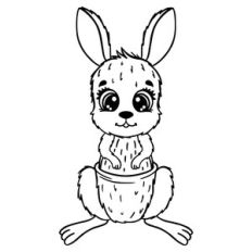 Little kangaroo