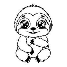 Little sloth
