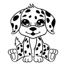Little dalmatian