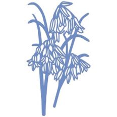 Bluebell Flowers