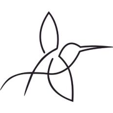 Hummingbird Line drawing