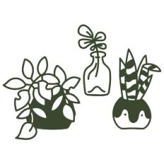 Potted Plant Line Up