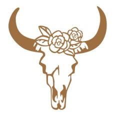 Cow Skull