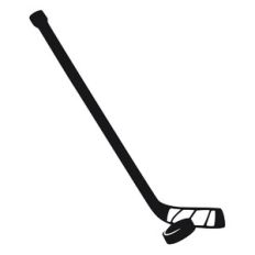 Hockey Stick