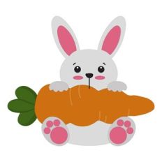 Bunny With Carrot