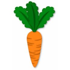 Carrot