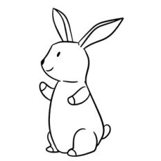 Cute Bunny