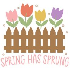 Spring Has Sprung