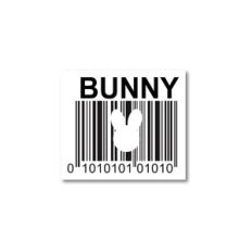 Bunny Scan Code