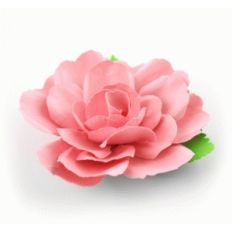 3d lori whitlock rose