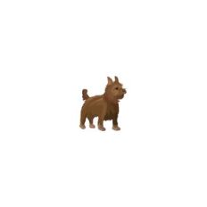Toto