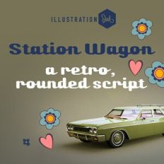 ZP Station Wagon Light