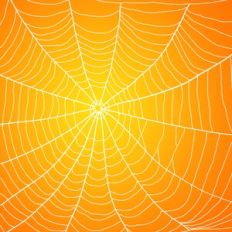 Spiderweb Little Monster Design Pattern