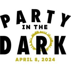 Party In The Dark